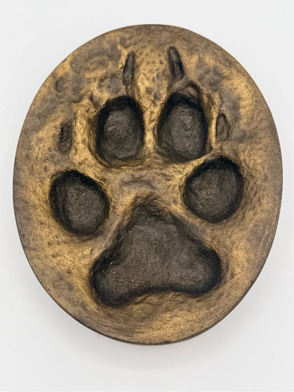 Vintage Denis Mathews Bronze Lion Paw Print Casting Kenya-Unmarked